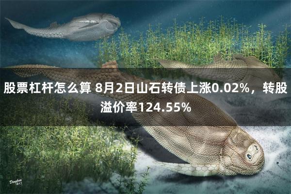 股票杠杆怎么算 8月2日山石转债上涨0.02%，转股溢价率124.55%