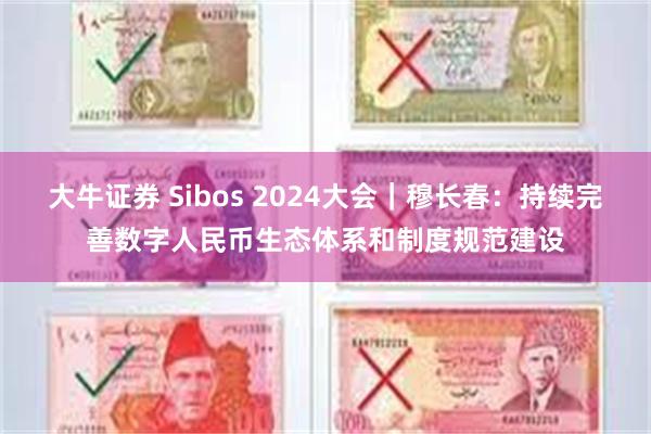 大牛证券 Sibos 2024大会｜穆长春：持续完善数字人民币生态体系和制度规范建设