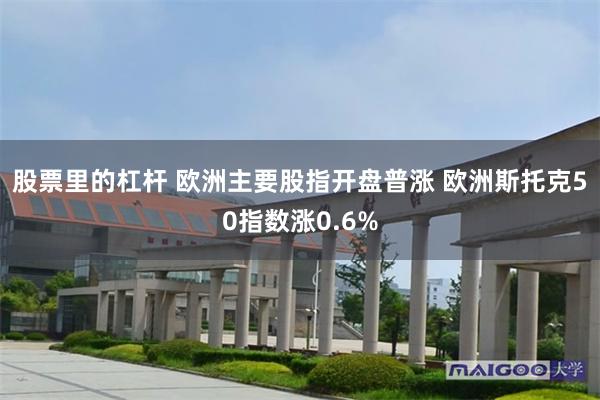 股票里的杠杆 欧洲主要股指开盘普涨 欧洲斯托克50指数涨0.6%