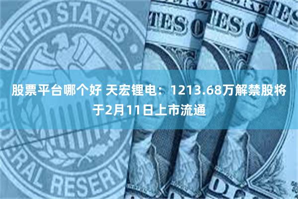 股票平台哪个好 天宏锂电：1213.68万解禁股将于2月11日上市流通