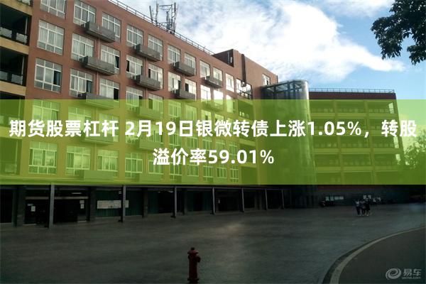 期货股票杠杆 2月19日银微转债上涨1.05%，转股溢价率59.01%