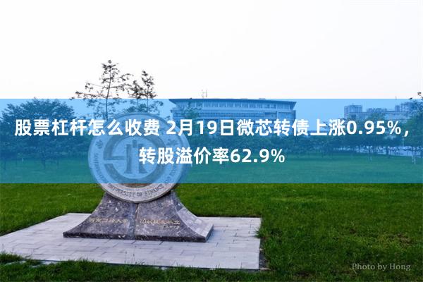 股票杠杆怎么收费 2月19日微芯转债上涨0.95%，转股溢价率62.9%