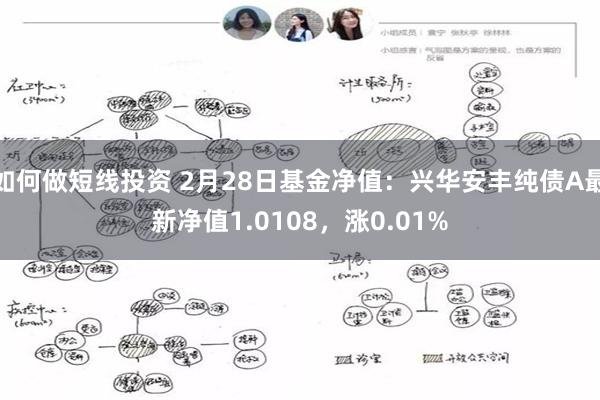 如何做短线投资 2月28日基金净值：兴华安丰纯债A最新净值1.0108，涨0.01%